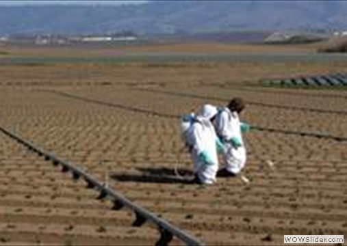 More Health Destroying Chemical Farming